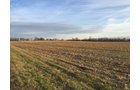 Property photo 16 - PRIME OHIO FARM AUCTION - 198+/- ACRES IN 4 TRACTS IN PREBLE COUNTY, OHIO
